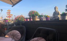 Idyllisches Nest Ueber Den Daechern